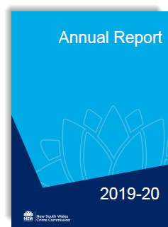 Annual Report image 2019 2020.png