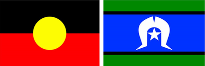 Indigenous flags.png